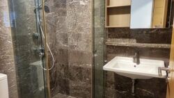 Suites @ Cairnhill (D9), Apartment #450163311